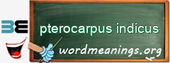 WordMeaning blackboard for pterocarpus indicus